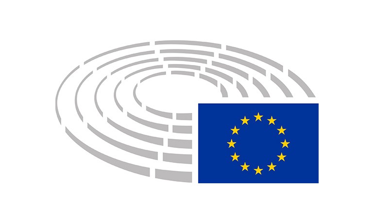 European parliament
